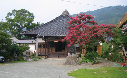 大円寺（星野）写真