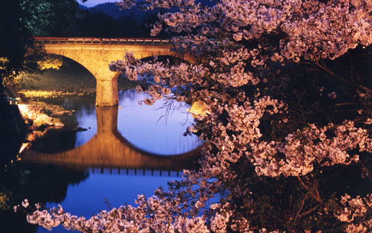 北川内公園 桜 写真