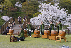 桜と石橋まつり 写真