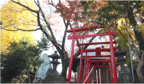 平田稲荷神社 写真