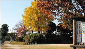 八女公園 写真