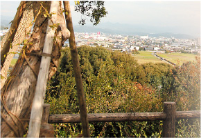 祇園社 写真