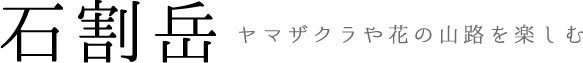 石割岳　ヤマザクラや花の山路を楽しむ