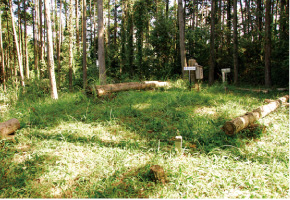 雌岳山頂 写真