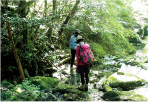 前門岳 沢沿いの古道 写真