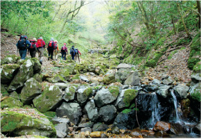 カラ迫岳（高嶺山）登山道 写真