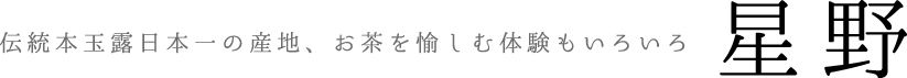 星野　伝統本玉露日本一の産地　お茶を愉しむ体験いろいろ